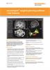 Flyer:  neuroinspire surgical planning software - key features (USA only)